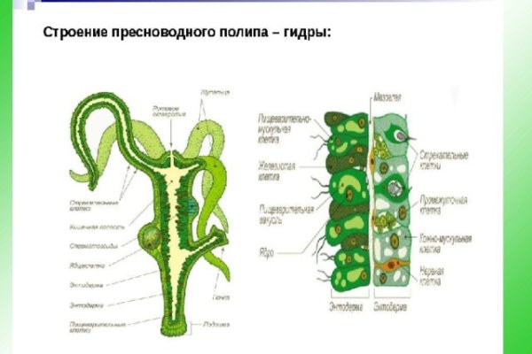 Кракен войти kraken darknet 2n com